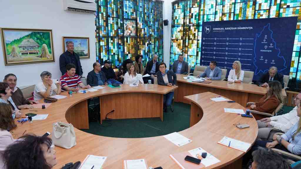  19 proiecte au fost admise pentru finanțarea nerambursabilă  din partea Consiliului Județean Dâmbovița, în sesiunea I a anului în curs